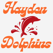 Hayden Dolphin Logo